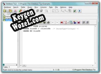 Бесплатный ключ для Database Tour Pro