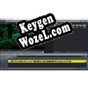 Ключ для MAGIX Видео Делюкс