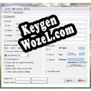 Регистрационный ключ к программе  PDF to Word RTF Converter