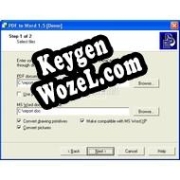 PDF-to-Word генератор серийного номера