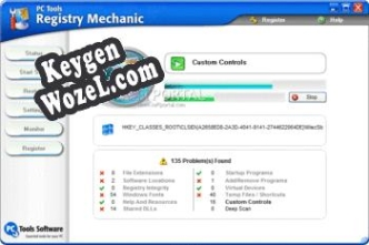 Ключ для Registry Mechanic