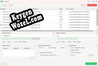 Регистрационный ключ к программе  RenameKit