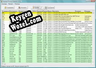Ключ активации для Spyware Process Detector