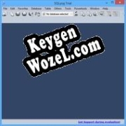 SQLyog ключ активации