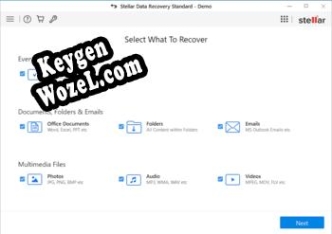 Регистрационный ключ к программе  Stellar Data Recovery