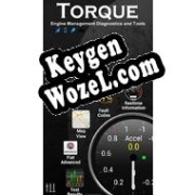 Torque ключ активации