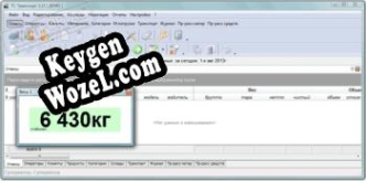 Key генератор для  ТС-Транспорт