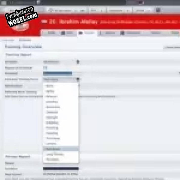 Русификатор для Football Manager 2011