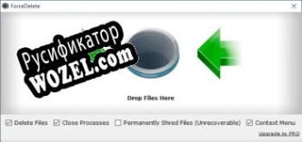 Русификатор для ForceDelete