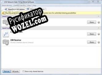 Русификатор для USB Network Gate